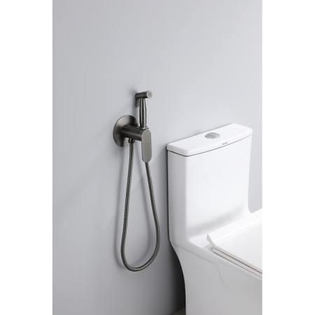 Гигиенический душ со смесителем  Raglo R10.52.09, графит