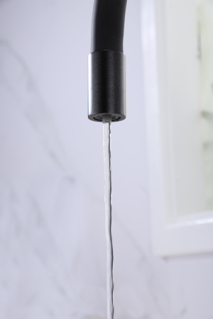 Смеситель для кухни Paulmark SALIX Sa213419-418(BLM), черный металлик