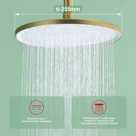 Душевая система Raglo R03.24.03, сатин золотой