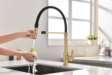 Смеситель для кухни Paulmark HALT Ha214021-SBG, светлое брашированное золото