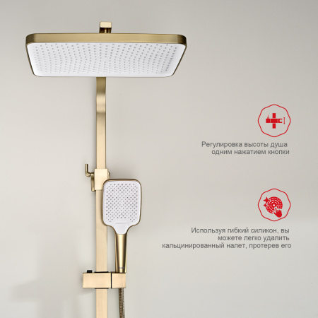 Душевая система Raglo R01.24.03, сатин золотой