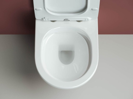 Подвесной унитаз Forma Rimless CERAMICANOVA CN3009