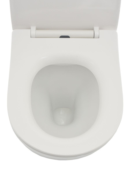 AQM2001 Унитаз подвесной с сиденьем SoftClose, технология смыва Rimless, скрытый крепеж. 515x355x365