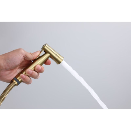 Гигиенический душ со смесителем  Raglo R10.52.03, сатин золотой