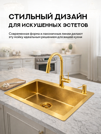 Мойка для кухни из нержавеющей стали Amore di Mare Favo Pelle FP5048G-1, 500х480х220 мм: мойка, дозатор, сифон. Цвет: золото.
