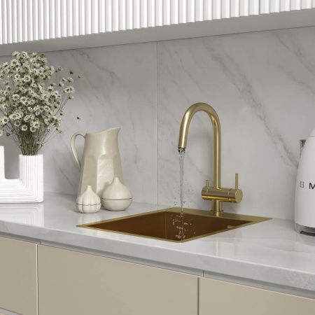 Кухонная мойка Reflexion Iseo RX2240GD брашированное золото