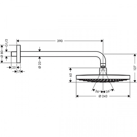 Тропический душ Hansgrohe Raindance Select S240 2jet 26466000 со стены диаметр 24 см