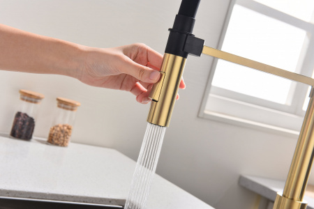 Смеситель для кухни Paulmark HALT Ha214021-SBG, светлое брашированное золото