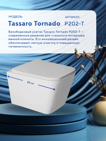 Унитаз подвесной безободковый Amore di Mare Tassaro Tornado P202-T, прямоугольный белый, антивсплеск, фарфоровый, быстросъемное сиденье дюропласт с крышкой микролифт, антибактериальное покрытие