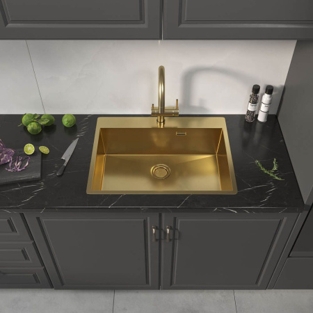 Кухонная мойка Reflexion Iseo RX2265GD брашированное золото