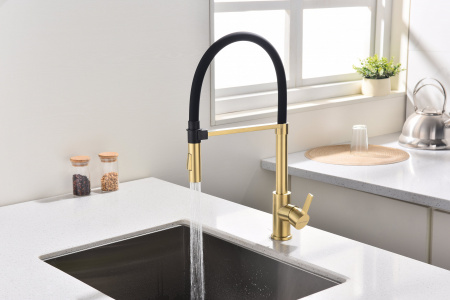 Смеситель для кухни Paulmark HALT Ha214021-SBG, светлое брашированное золото