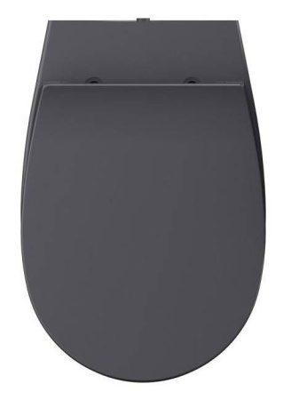 Сиденье для унитаза ISVEA Sentimenti Neo ШГ 367*440 антрацит матовый 40D40522I-S