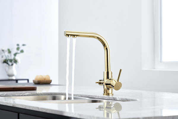 Смеситель для кухни Paulmark ESSEN Es213011-G, золото