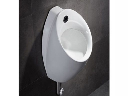 Писсуар CeramaLux X560S