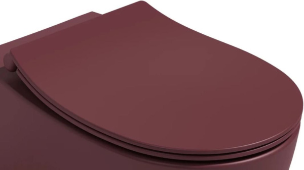 Сиденье для унитаза ISVEA Sentimenti Neo с крышкой с микролифтом бордовый матовый 40D80543I-S
