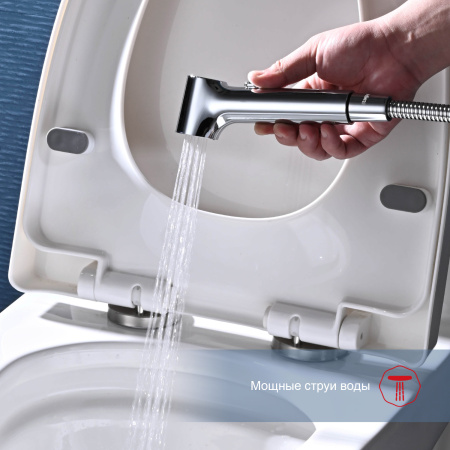 Гигиенический душ со смесителем Raglo R03.51, хром