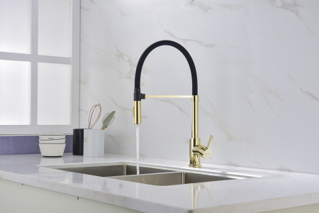 Смеситель для кухни Paulmark HALT Ha214021-G, золото