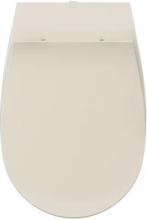 Сиденье для унитаза ISVEA Sentimenti Neo с крышкой с микролифтом слоновая кость матовый 40D80532I-S