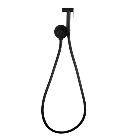 Смеситель встраиваемый Roxen Santi 500940-B с гигиеническим душем