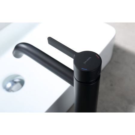 Смеситель для раковины Splenka S221.15.06, черный