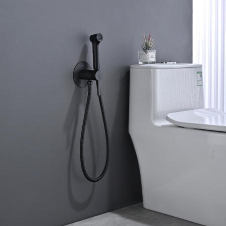 Гигиенический душ со смесителем Rose R235H, черный