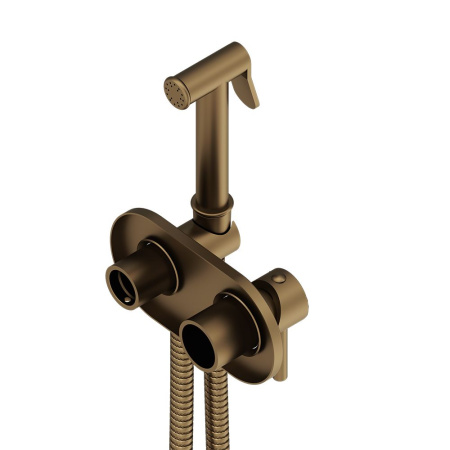214000000 Option Смеситель Damixa монтируемый в стену, с гигиеническим душем, бронза