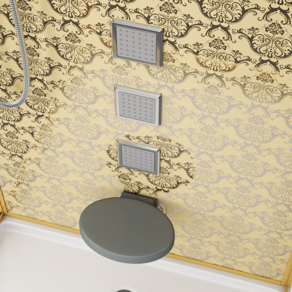 Душевая кабина Niagara Luxe NG-7714G (100x90х215) низкий поддон(15см),дверь распашная,стенки золото,5 мест