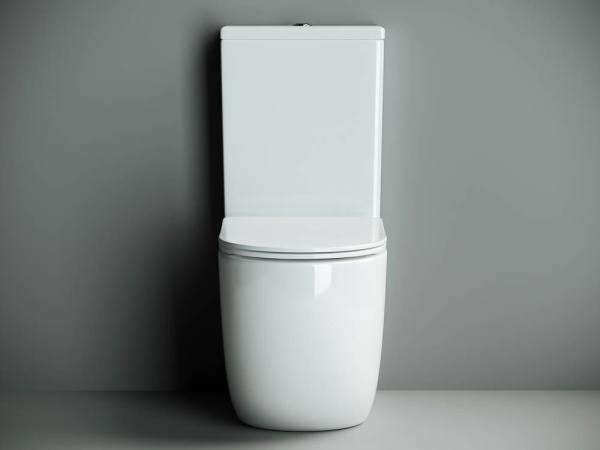 Напольный пристенный унитаз Ceramicanova Metropol Rimless, Белый, CN4001