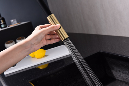 Смеситель для кухни Paulmark TORNADO To213402-SBG, светлое брашированное золото