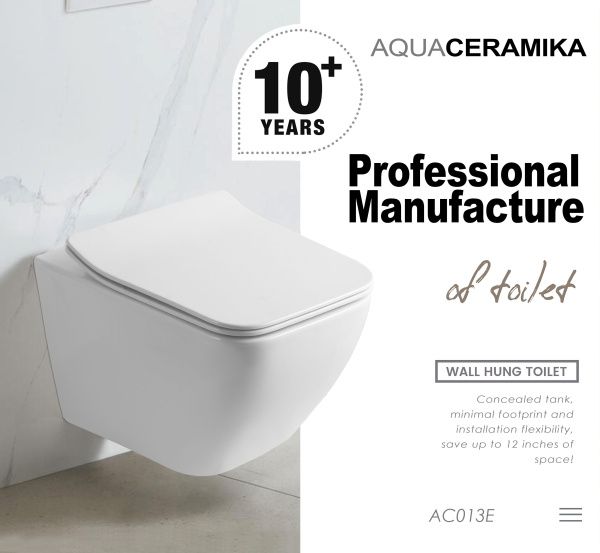 Безободковый подвесной унитаз AQUACERAMIKA MIKADO AC013E