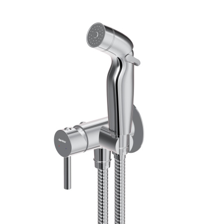 211000000 Option Смеситель Damixa монтируемый в стену, с гигиеническим душем и крючком