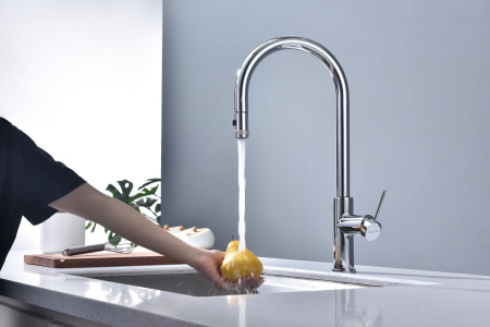 Смеситель для кухни Paulmark GALANT Ga213077-CR, хром