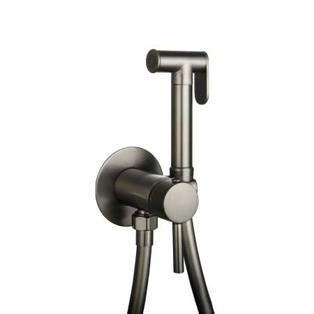 Смеситель встраиваемый Roxen Santi 500940-GM с гигиеническим душем