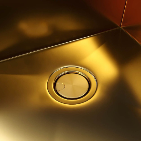 Кухонная мойка Reflexion Iseo RX2246GD брашированное золото