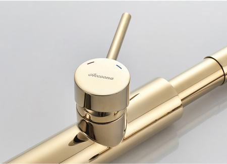 Смеситель для мойки Accoona А4890WF-1 гибкий излив с держателем, черный/золото