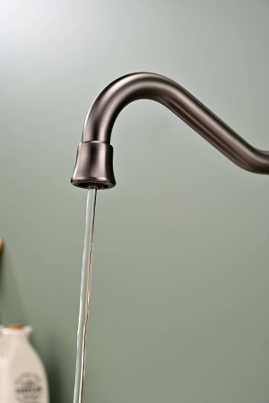 Смеситель для кухни Paulmark RETRO Re213226-GM, вороненая сталь