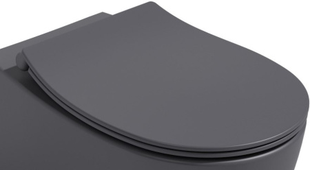 Сиденье для унитаза ISVEA Sentimenti Neo с крышкой с микролифтом антрацит матовый 40D80522I-S
