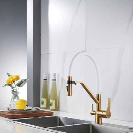 Смеситель для кухни с гибким изливом и подключением фильтра Shevanik S278G, золотой сатин