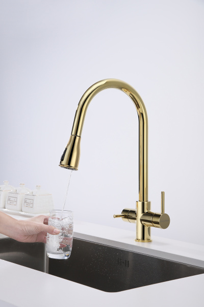 Смеситель для кухни Paulmark LANGE La214212-G, золото