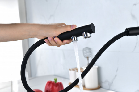 Смеситель для кухни Paulmark SERPENTINE Se213222-401(AN), антрацит