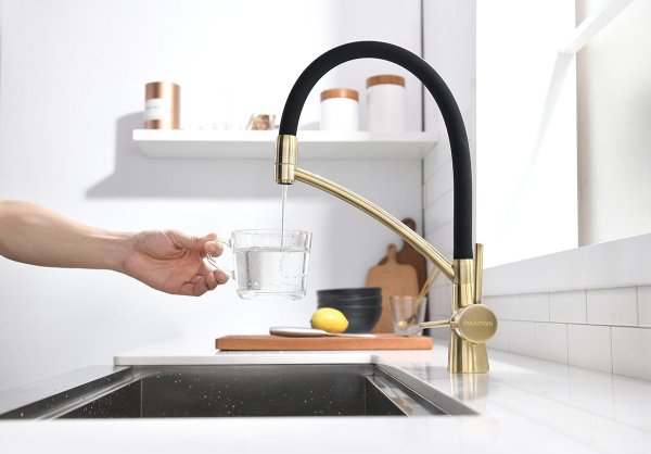 Смеситель для кухни Paulmark SIЕGEN Si213111-BR, бронза