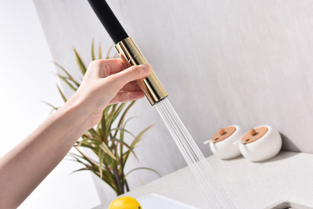 Смеситель для кухни Paulmark TORNADO To213402-G, золото