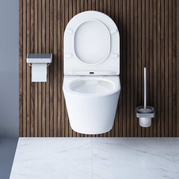 DX35C1700SC Skyline унитаз подвесной безободковый с сиденьем микролифт