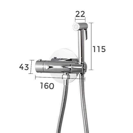 Термостатический смеситель с гигиеническим душем Gappo G7290