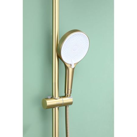Душевая система Raglo R10.24.03, сатин золотой
