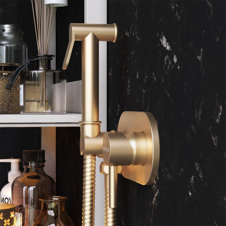 214000000 Option Смеситель Damixa монтируемый в стену, с гигиеническим душем, бронза