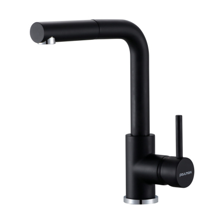 Смеситель для кухни Paulmark KASSEL Ka214311-401TB, антрацит полностью