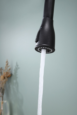 Смеситель для кухни Paulmark LANGE La214212-418, черный металлик