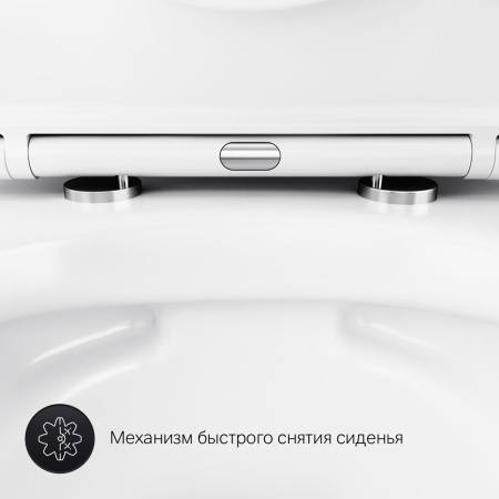 C741701SC Sense подвесной унитаз FlashClean с сиденьем микролифт