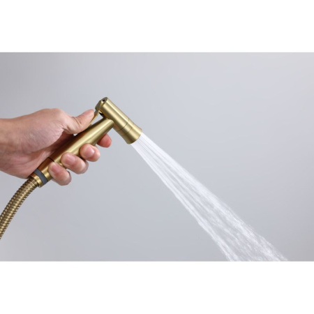Гигиенический душ со смесителем  Raglo R10.52.03, сатин золотой